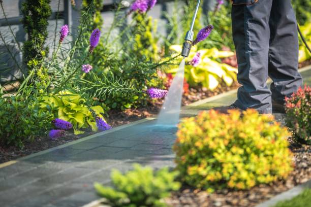 Best Dumpster Area Cleaning  in Patterson Tract, CA