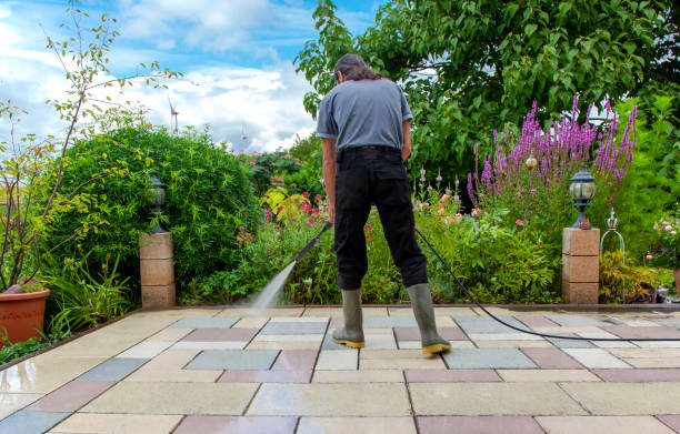 Animal Enclosure Cleaning in Patterson Tract, CA